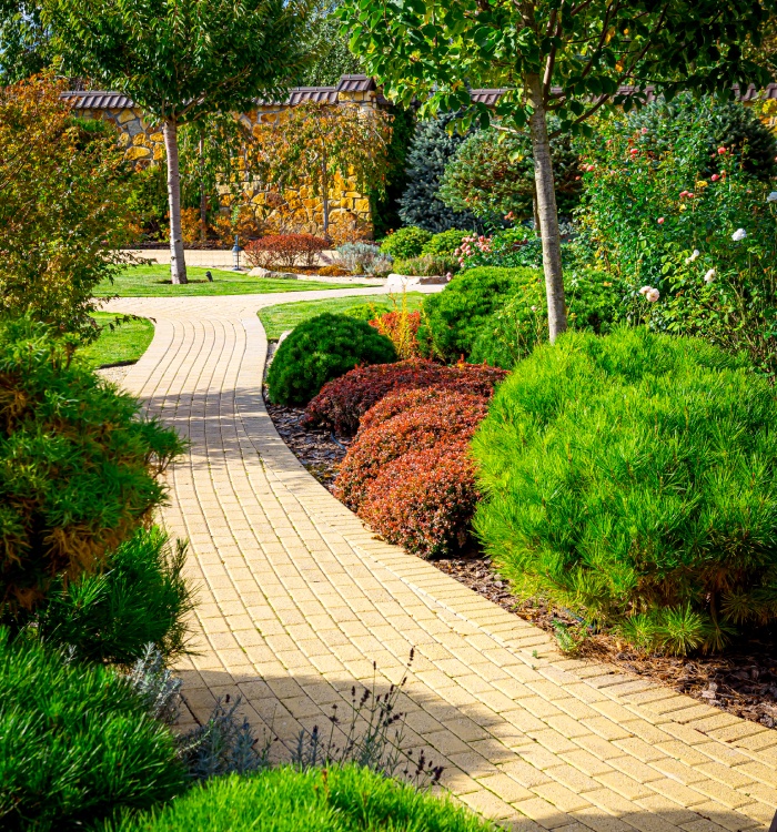 Allée de jardin en pavés, bordée de massifs et d’arbustes décoratifs, pour un aménagement paysager structuré et soigné